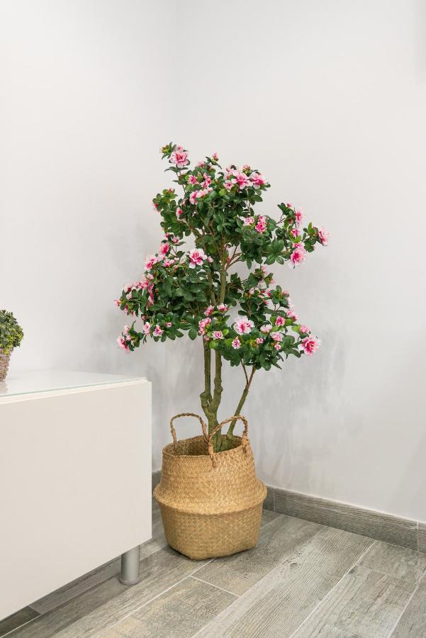 Faro, Bonito Apartamento En La Malagueta 马拉加 外观 照片